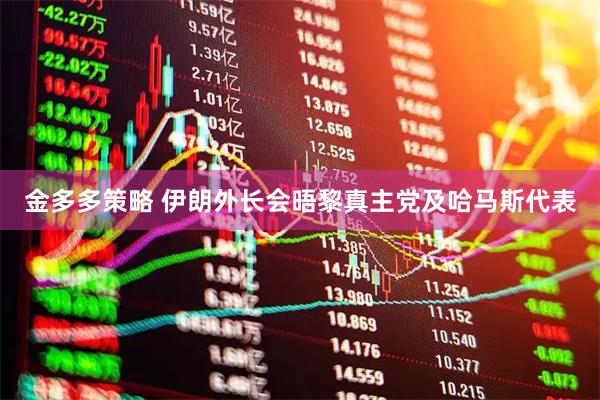 金多多策略 伊朗外长会晤黎真主党及哈马斯代表